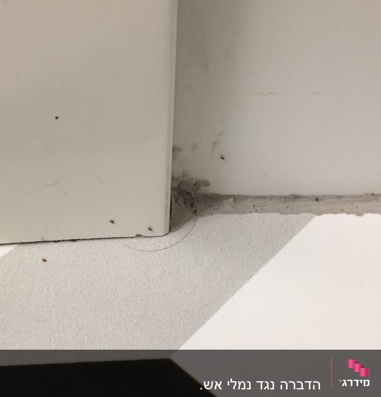 שעה לאחר הטיפול - תוצאות נהדרות